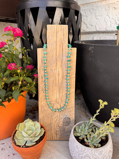 Rough cut turquoise stones with shell beads (26 inches)