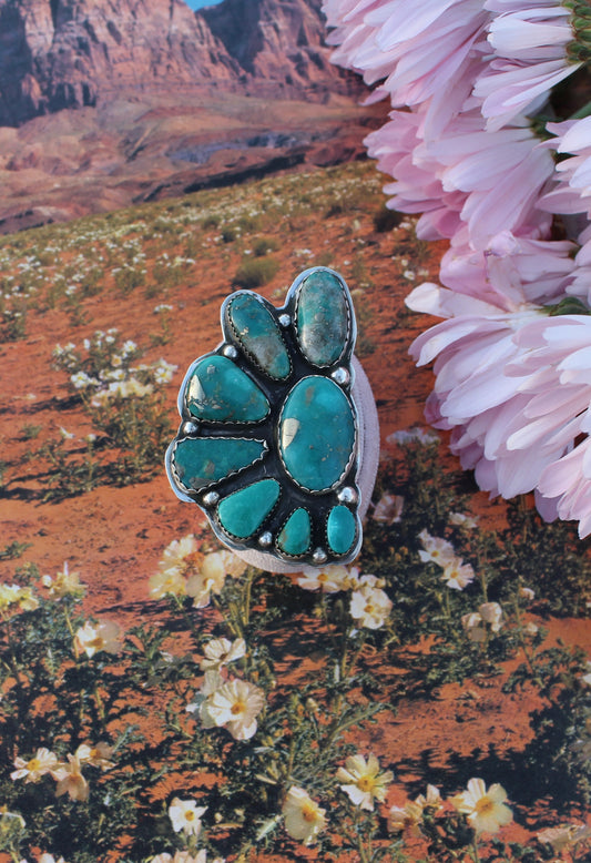 Cluster statement Ring (adjustable)